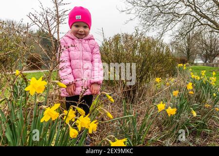 Bandon, West Cork, Irland. März 2021, 4th. Der vierjährige Saoirse Lawton aus Bandon genießt an einem bewölkten Tag in West Cork einen Moment der Narzissen in Bandon. Quelle: AG News/Alamy Live News Stockfoto