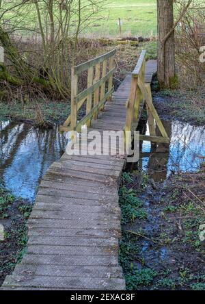 Ein Holzsteg mit einer Brücke, die einen kleinen Bach in einem bewaldeten Gebiet überquert. Stockfoto