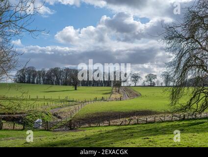 Grüner hügelig mit einem Feldweg, der in die Ferne mit wolkenblauem Himmel führt. Stockfoto