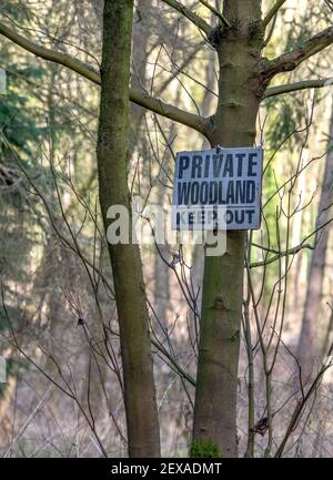 Ein hölzernes schwarz-weißes Schild, das an einen großen Baum mit den Worten privater Wald befestigt ist, hält sich darauf ab. Stockfoto