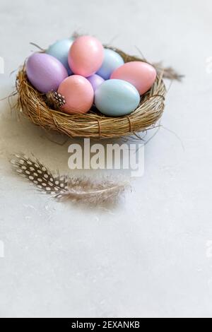Frohe Ostern Konzept. Vorbereitung auf den Urlaub. Bunt verzierte ostereier im Nest mit Feder auf betonsteingrauem Hintergrund. Einfacher Minimalismus flach Lay Draufsicht Kopierraum Stockfoto