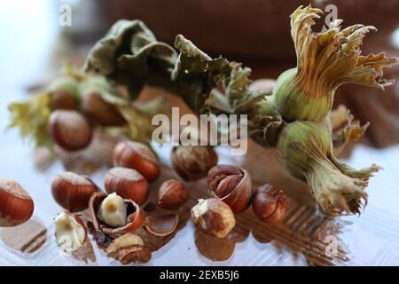 Da Nüsse ein wichtiges Produkt sind, das in vielen Produkten verwendet wird, die als einfache Kekse konsumiert werden, gehören zu den wichtigen Herstellern in der Türkei. Stockfoto