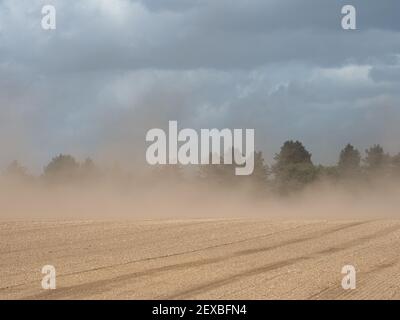 Top Boden wird in einem Sturm weggeblasen Stockfoto