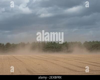 Top Boden wird in einem Sturm weggeblasen Stockfoto