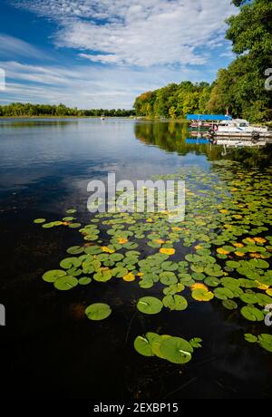 Ein wunderschöner, spätsommerlicher Morgen auf dem McCann See, nahe Chetek, Wisconsin, USA. Stockfoto