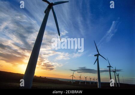 1999 Windmühlen oder Windkraftanlagen in Windpark in der Nähe von Penistone South Yorkshire England GB Europa. Der Windpark Royd Moor befindet sich in Penistone, Barnsley, South Yorkshire, England, und besteht aus dreizehn 450-kW-Turbinen. Der Standort liegt etwa 6 km nordwestlich von Penistone. Die Turbinen sind in zwei parallelen, versetzten Reihen von sechs und sieben, auf einem Grat in hügeligem Land, das 320 m über dem Meeresspiegel liegt. Der ursprüngliche Planungsantrag war für einen 25-jährigen Betrieb, aber dieser wurde auf 30 Jahre verlängert. Derzeit soll der Betrieb 2023 stillgelegt werden. Stockfoto