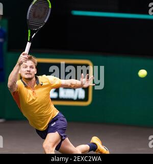 Rotterdam, Niederlande, 4. märz 2021, ABNAMRO World Tennis Tournament, Ahoy, zweite Runde: David Goffin (Bel). Foto: www.tennisimages.com/ Stockfoto