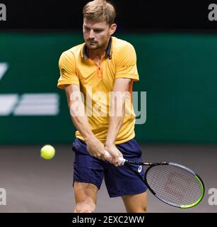 Rotterdam, Niederlande, 4. märz 2021, ABNAMRO World Tennis Tournament, Ahoy, zweite Runde Singles: David Goffin (Bel).Foto: www.tennisimages.com/henkkoster Stockfoto