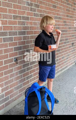 Kleiner Schüler, der an der Ziegelmauer des Schulgebäudes steht und einen Imbiss mit Karotten hat. Stockfoto