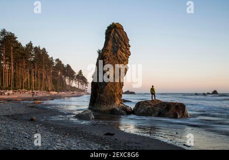 Ein Highlight des Olympic National Park ist Ruby Beach. Touristen genießen die zerklüftete Küste und das kalte Wasser. Stockfoto