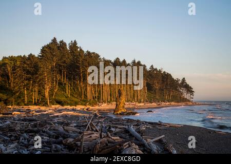 Ein Highlight des Olympic National Park ist Ruby Beach. Touristen genießen die zerklüftete Küste und das kalte Wasser. Stockfoto