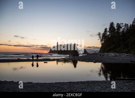 Ein Highlight des Olympic National Park ist Ruby Beach. Touristen genießen die zerklüftete Küste und das kalte Wasser. Stockfoto