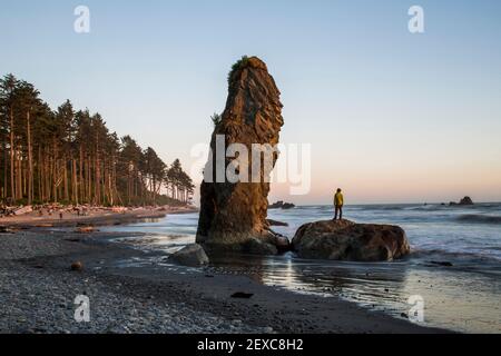 Ein Highlight des Olympic National Park ist Ruby Beach. Touristen genießen die zerklüftete Küste und das kalte Wasser. Stockfoto