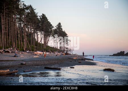 Ein Highlight des Olympic National Park ist Ruby Beach. Touristen genießen die zerklüftete Küste und das kalte Wasser. Stockfoto