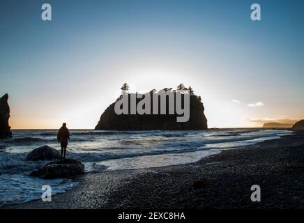 Ein Highlight des Olympic National Park ist Ruby Beach. Touristen genießen die zerklüftete Küste und das kalte Wasser. Stockfoto