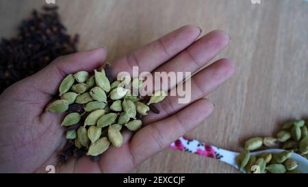 Ein Mann, der Kardamom-Schoten und Nelken in seiner Handfläche hält. Indische Bio-Gewürze auf Küche Hintergrund. Indisches Gemüse-Gewürz Stockfoto