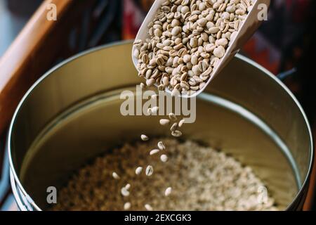 Rohe Kaffeebohne, Gießen in ein Metallfass Stockfoto