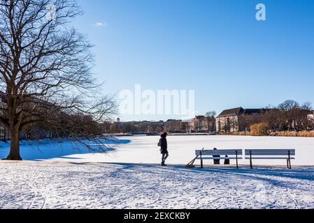 Winterliche Impressionen aus Schleswig-Holstein mit Eis und Schnee im kalten Norden Stockfoto
