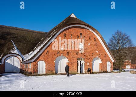 Winterliche Impressionen aus Schleswig-Holstein mit Eis und Schnee im kalten Norden Stockfoto