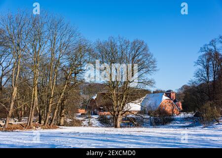 Winterliche Impressionen aus Schleswig-Holstein mit Eis und Schnee im kalten Norden Stockfoto