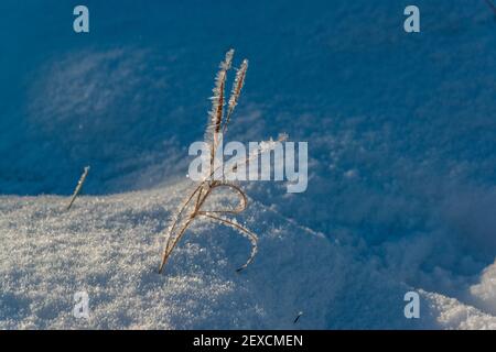 Winterliche Impressionen aus Schleswig-Holstein mit Eis und Schnee im kalten Norden Stockfoto