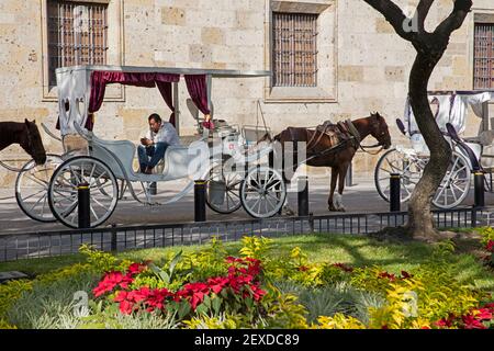 Mexikanischer Kutscher in Pferdekutsche wartet auf Touristen in der Stadt Guadalajara, Jalisco, Mexiko Stockfoto