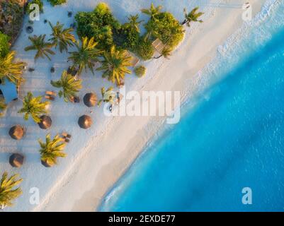 Luftaufnahme von Sonnenschirmen, Palmen am Sandstrand Stockfoto