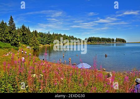 Der Servière-See im Herzen des Regionalparks der Vulkane der Auvergne, Puy de Dôme, Massif-Central, Frankreich Stockfoto