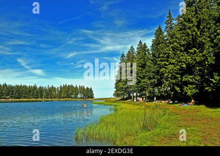 Der Servière-See im Herzen des Regionalparks der Vulkane der Auvergne, Puy de Dôme, Massif-Central, Frankreich Stockfoto