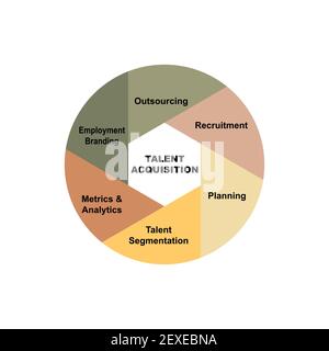 Diagrammkonzept mit Talent Acquisition Text und Schlüsselwörtern. EPS 10 isoliert auf weißem Hintergrund Stock Vektor