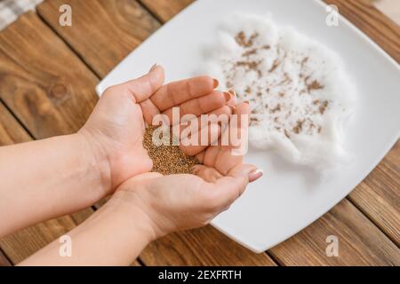 Gartenarbeit für zu Hause. Frau hält Rucola Samen in ihren Handflächen. Vorbereitung für das Pflanzen von Rucola Samen auf ein Stück Watte auf einem Teller. Anbauen von Micro Greens. Selektiver Fokus. Stockfoto