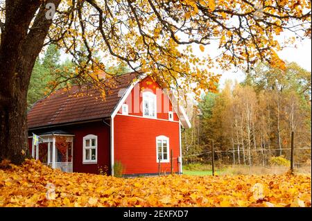 Herbst Stockfoto