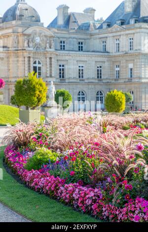 Blumengarten unterhalb des Palais du Luxembourg in Jardin du Luxembourg, Paris, Ile-de-France, Frankreich Stockfoto