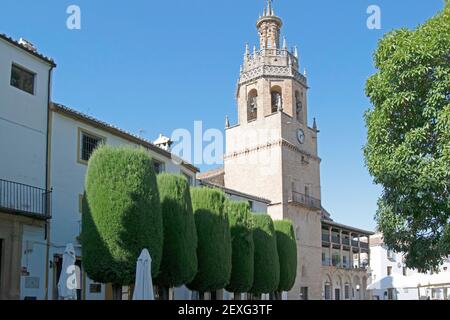 Historische Stiftskirche Santa Maria la Mayor mit Bäumen vor Ronda, Malaga, Andalusien, Spanien Stockfoto