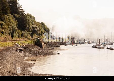 Großbritannien, England, Devon, Kingswear und die Dartmouth Steam Railway an einem nebligen Tag Stockfoto