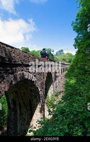 England, Devon, GWR Dampflokomotive Nr. 4277 'Hercules' überquert Greenway Viaduct auf der Dartmouth Steam Railway Stockfoto