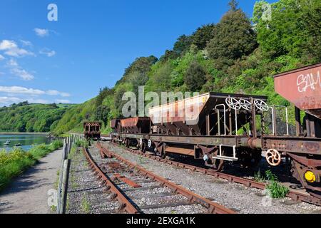 England, Devon, Kingswear, Gleiswartung Hopper Trucks geparkt in Siding Stockfoto