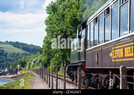 England, Devon, Kingswear, GWR Dampflokomotive Nr. 5239 'Goliath' auf der Dartmouth Steam Railway Stockfoto