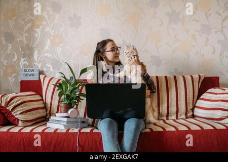 Work-Life-Balance, Home Office, Arbeitsplatz, Arbeit von zu Hause aus, flexibles Arbeitszeitkonzept. Junge Frau mit Laptop und Katze, die auf dem Sofa arbeitet. Stockfoto