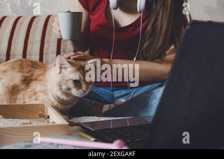 Work-Life-Balance, Home Office, Arbeitsplatz, Arbeit von zu Hause aus, flexibles Arbeitszeitkonzept. Junge Frau mit Laptop und Katze, die auf dem Sofa arbeitet. Stockfoto