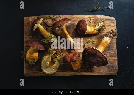 Wilde Pilze aus dem Wald bereit zum Kochen auf dunklem Hintergrund. Blick von oben. Stockfoto