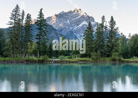 Banff National Park wunderschöne Landschaft. Cascade Mountain und Pinien spiegeln sich im Sommer auf dem türkisfarbenen Bow River. Stadt Banff Stockfoto