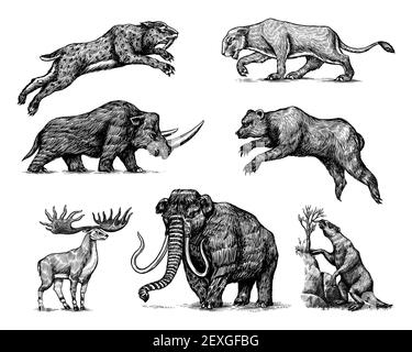 Mammut oder ausgestorbenen Elefanten, Woolly Nashorn Cave Bär Löwe. Panthera Säbelzahntiger, Irischer Elch oder Hirsch, Bodenfaultier, Megatheriidae. Vintage Stock Vektor