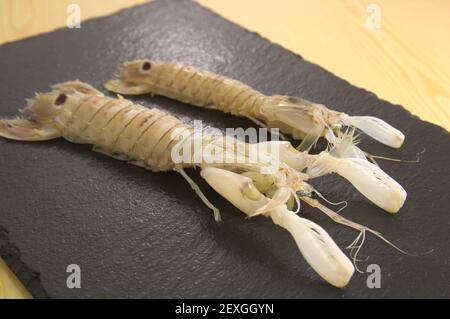 Detail eines Probenpaares einer Galeere (Squilla mantis) auf einer Schieferplatte Stockfoto