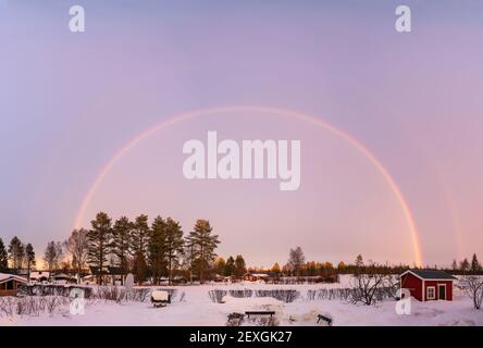 Bunte Landschaft Winter Regenbogen über Winter verschneite Landschaft, volle Größe, Doppelbogen, zweite nicht so stark. Rosafarbener frostiger Himmel vor Sonnenuntergang, Kiefernbaum Stockfoto