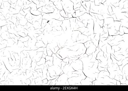 Alte Rissige Tapete. Erodiertes Schäbiges Material. Weißer, Trockener Rahmen. Moderne Naturkonstruktion. Grau Gesprungene Holztapete. Verlassene Holzmauer. Stock Vektor