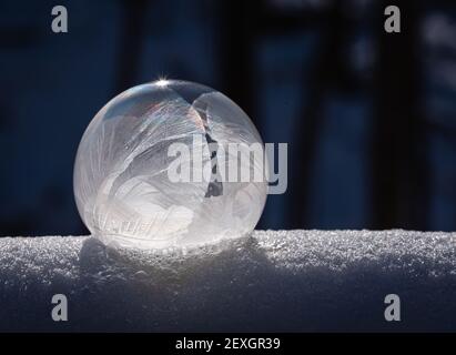 Nahaufnahme der gefrorenen Seifenblase auf dem Schnee mit dunklem Hintergrund. Stockfoto