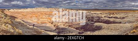 Red Basin in Petrified Forest National Park AZ Stockfoto