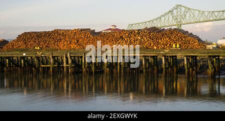 Brücke über Log Pier Export Dock Stockfoto