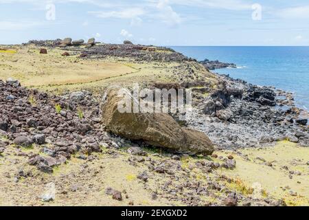 Gefallener gestürzter Moai (Statuen), der bei Ahu Akahanga auf der felsigen, zerklüfteten Südküste der Osterinsel (Rapa Nui), Chile, mit dem Gesicht nach unten liegt Stockfoto